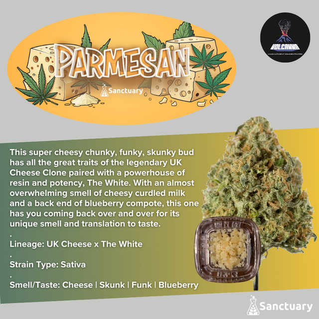 Baller Jar - Parmesan - Cured Resin Volcanna