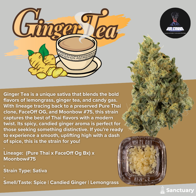 Baller Jar - Ginger Tea - Cured Resin Volcanna