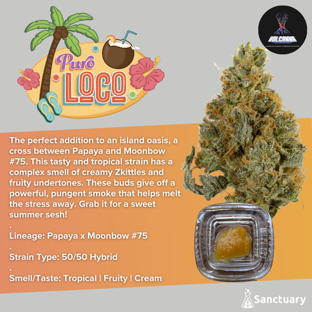 Puro Loco - Cured Resin Volcanna Puro Loco - Cured Resin Volcanna