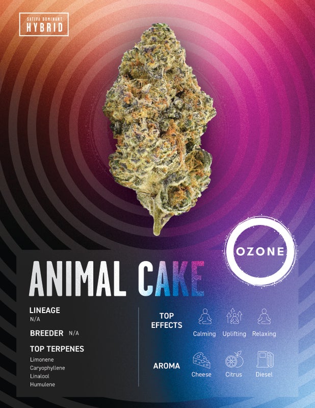 Ozone Animal Cake 3pk 1.5g