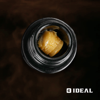 Tropaya Ideal Cannabis