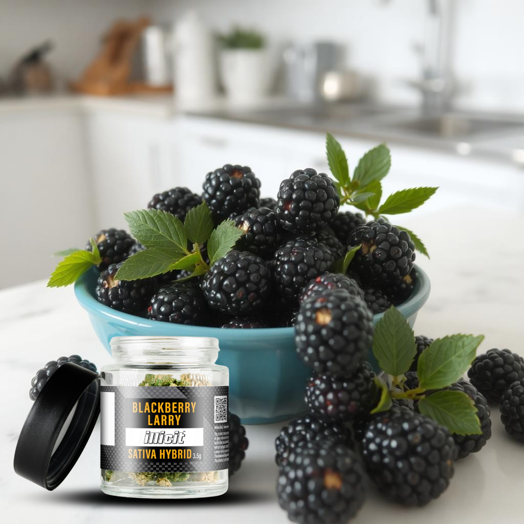 Blackberry Larry