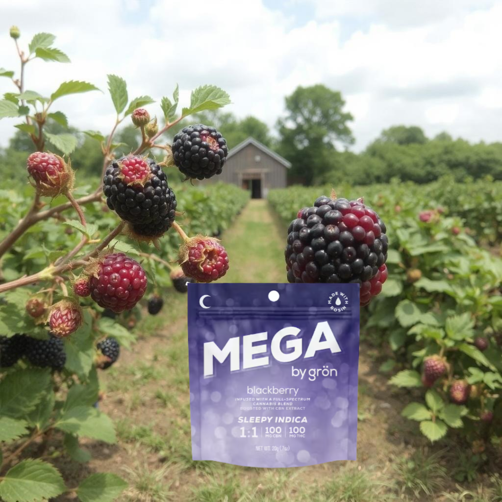 Blackberry Mega