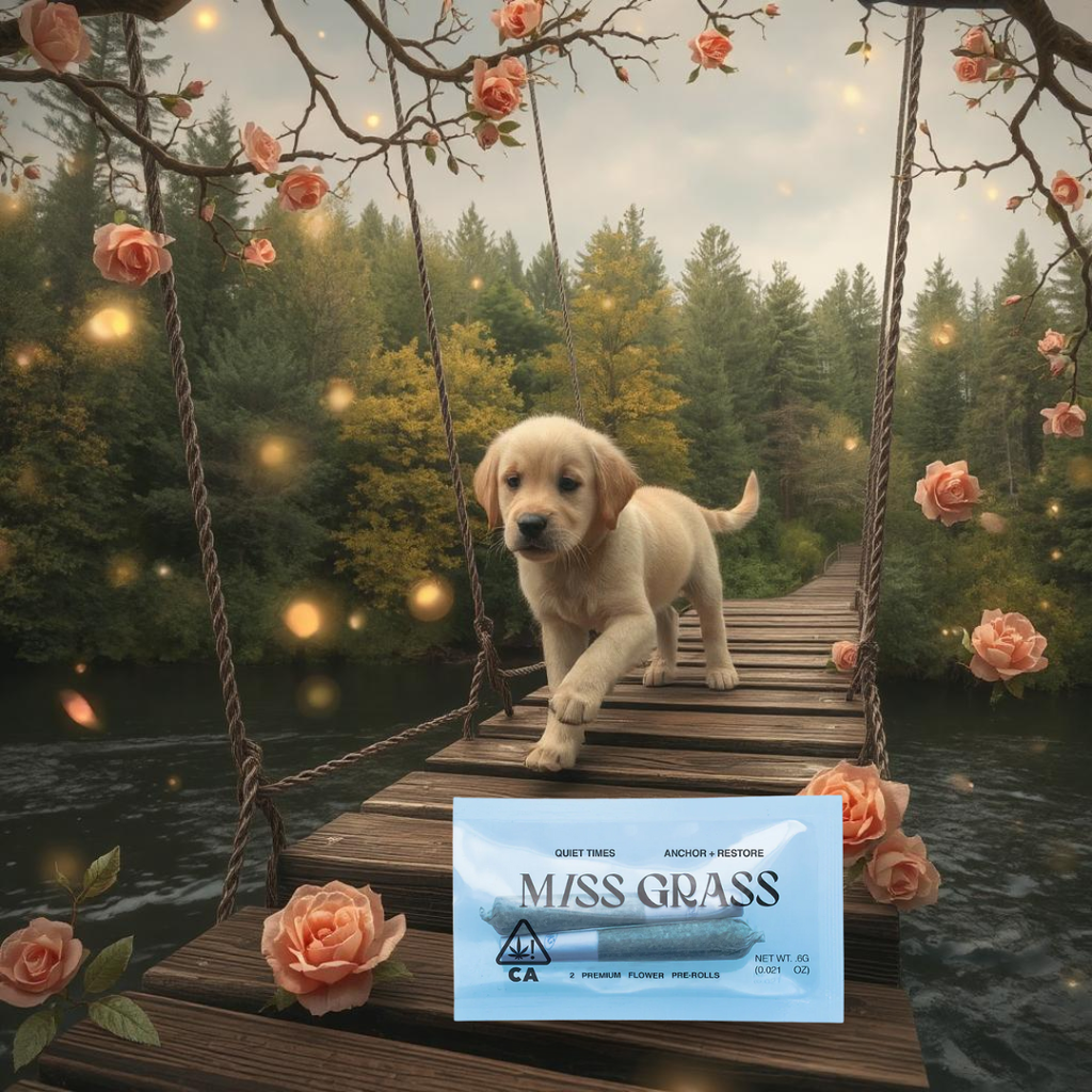 Quiet Times Spark Single