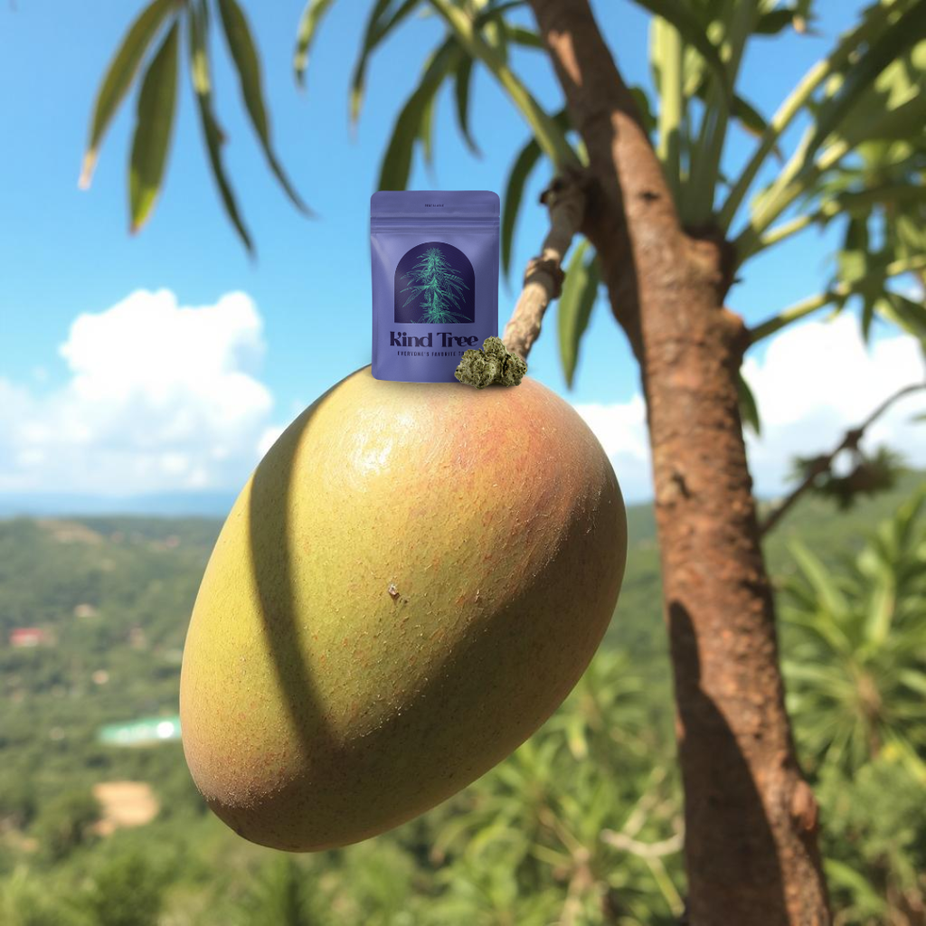 Mango Mindset Buds