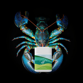 Blue Lobster Hillview