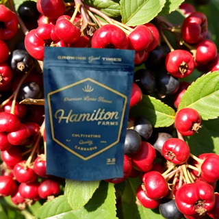 Block Berry Hamilton Farms