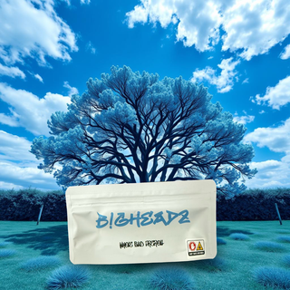 Royal Blue Dream Big Head