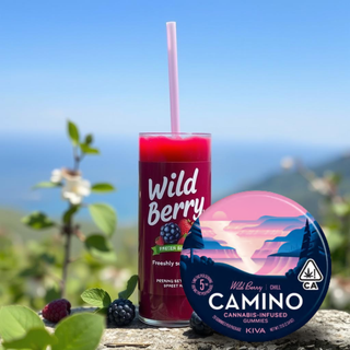 Blackberry Dream CAMINO