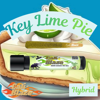 Key Lime Pie Tarantula Cali Blaze