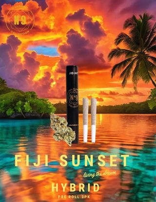 Fiji Sunset | 0.5g Pre-Roll 2pk No. 9