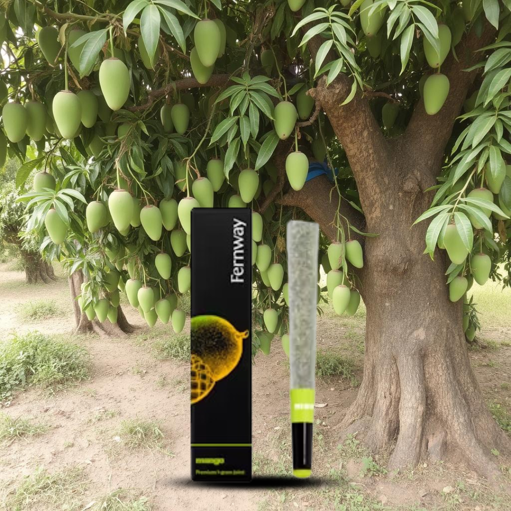 Mango