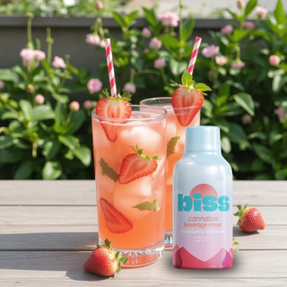 Strawberry Mixer BISS