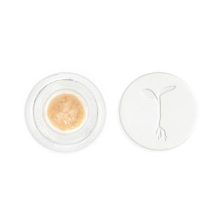 Grapes & Cream Concentrate Solventless Raw Garden