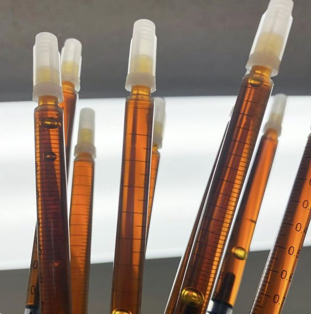 Golden Jack West Edison