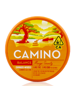 Mango Serenity CBD 1:1 Balance Camino