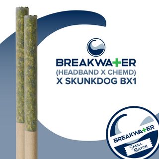 Cannabis Promo, Cannabis Sales, Cannabis Discounts, Cannabis on Sale, 4 Prerolls for $65 2