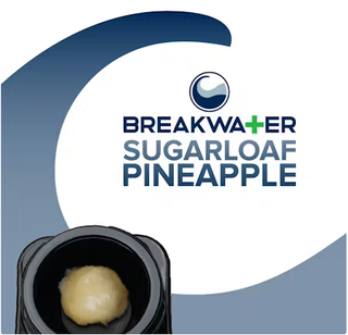 Breakwater | Sugarloaf Pineapple | Live Hash Rosin Breakwater