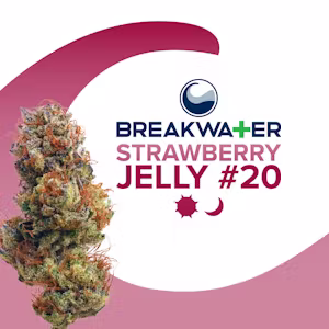 Strawberry Jelly Breakwater