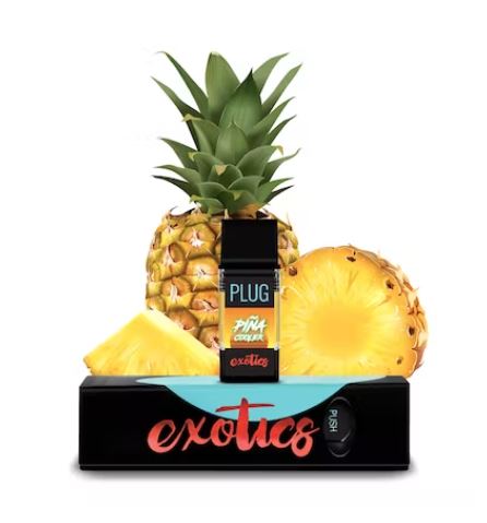 Pina Cooler