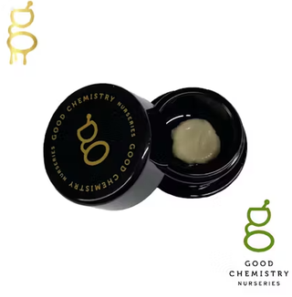 Sour Amnesia 1G Live Rosin Good Chemistry Nurseries