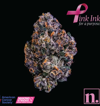 Pink Ink Niche