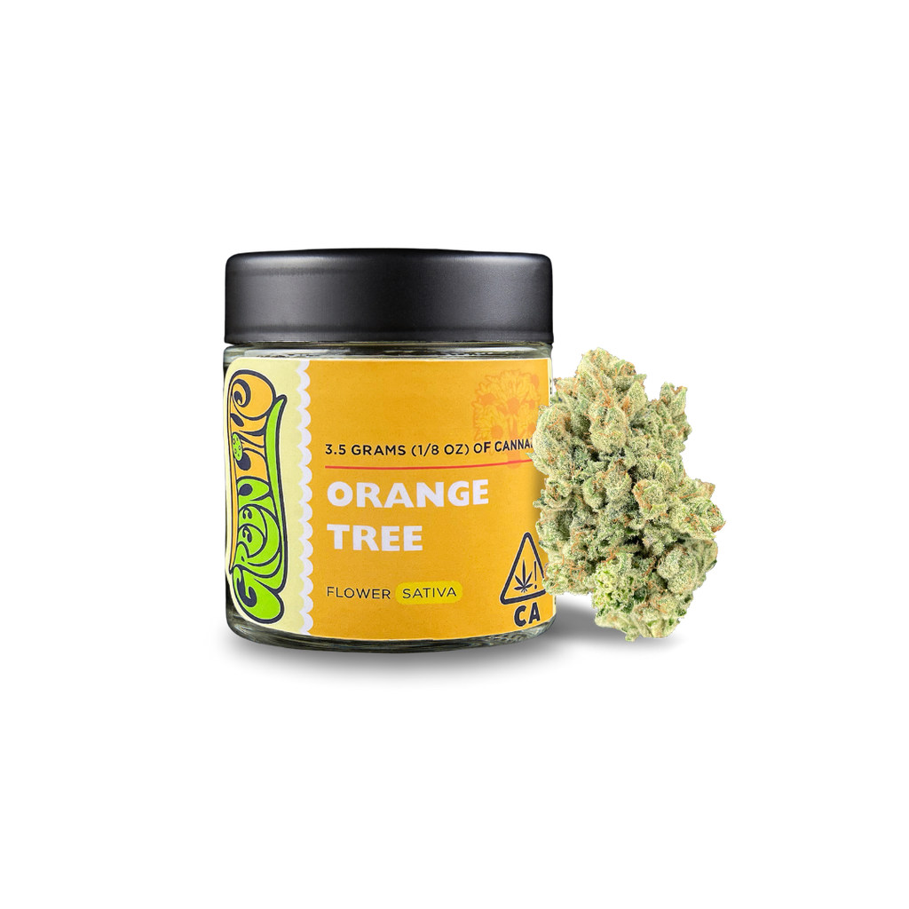 Greenline — ORANGE TREE