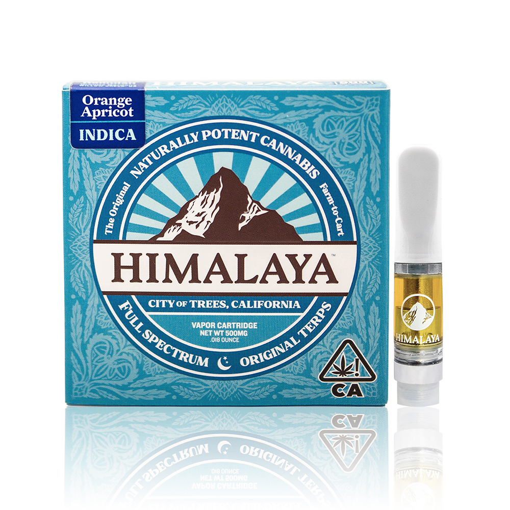 Himalaya — Orange Apricot