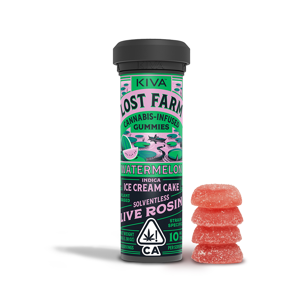 Lost Farm: Ice Cream Cake
