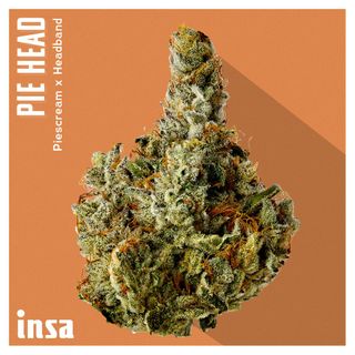 Pie Head INSA