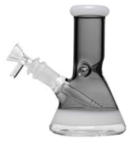 6" Clear with Colored Accent  Human Grade 