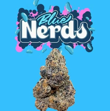 Blue Nerds Blossom Flower Blue Nerds Blossom Flower