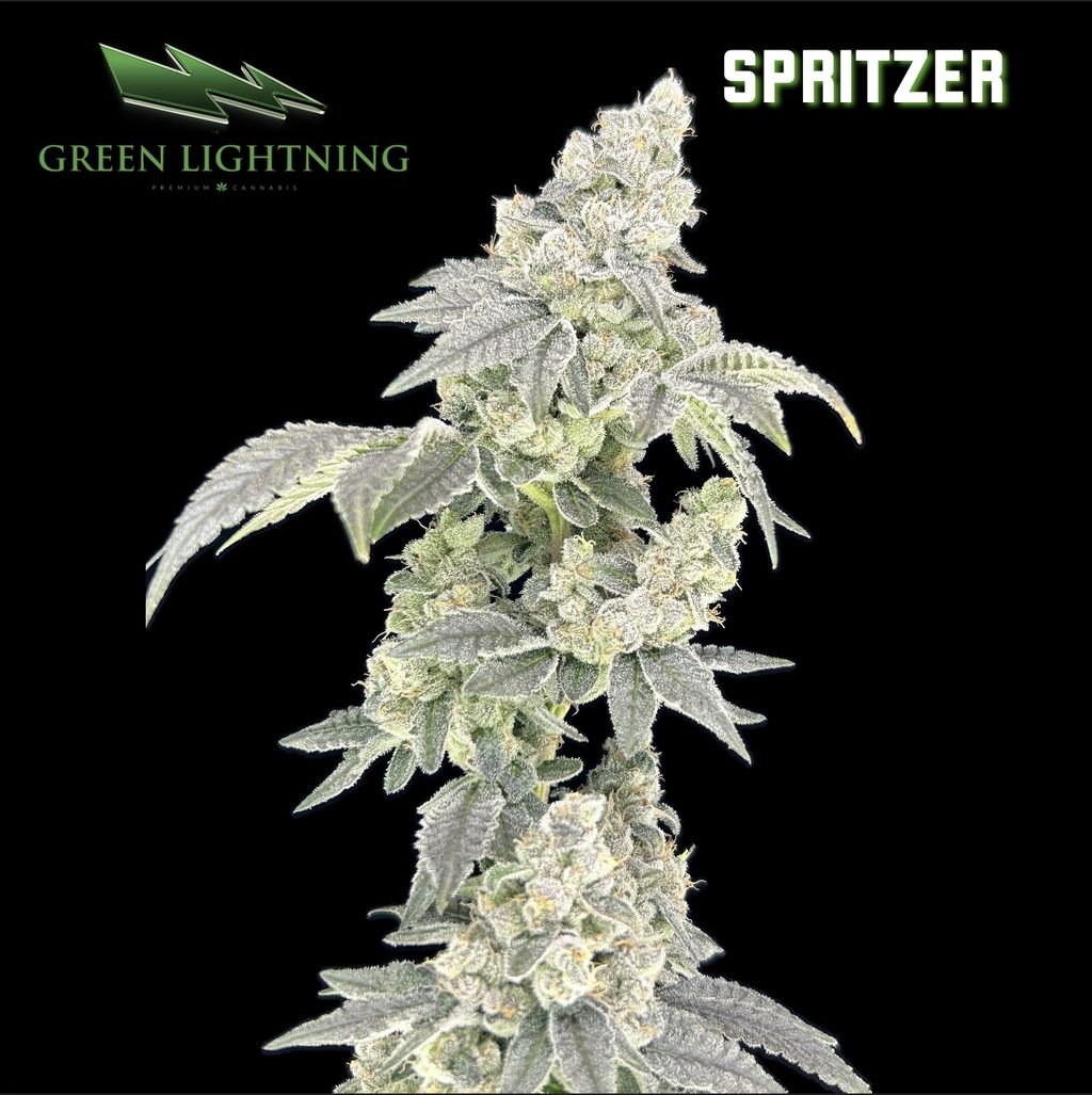 Spritzer