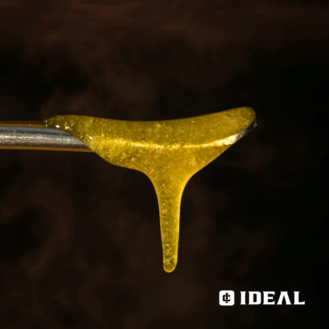 Rainbow Guava Ideal Cannabis