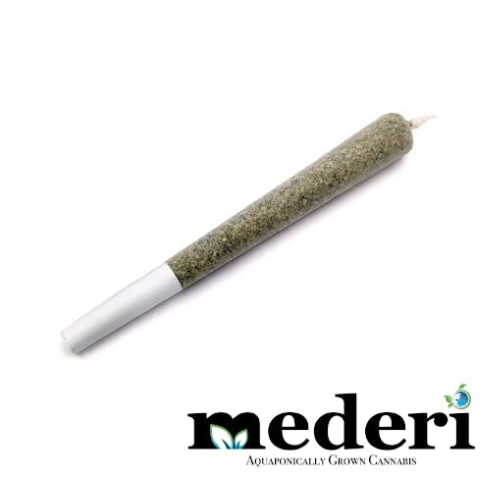 Chocolate Thai Mederi