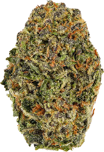 Blueberry Muffins (the) Essence