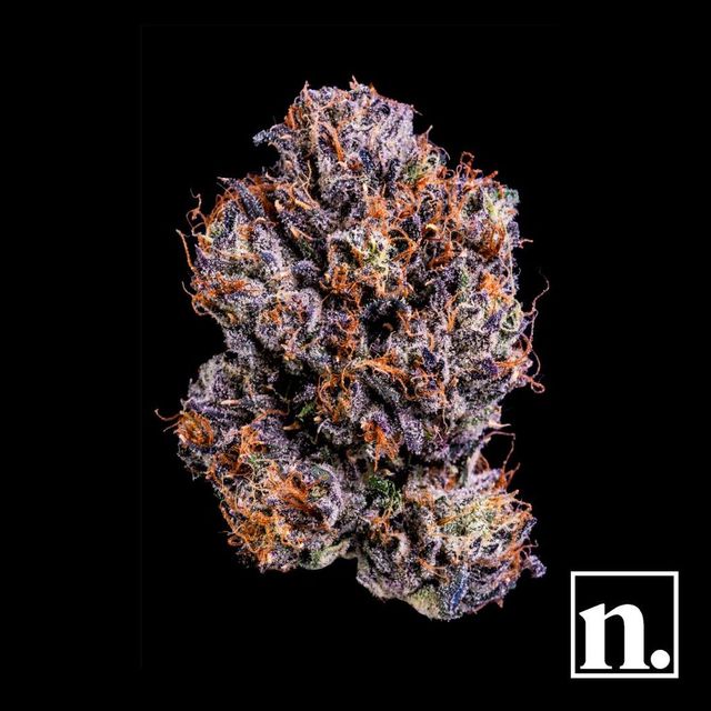 Ridgeline Lantz niche.