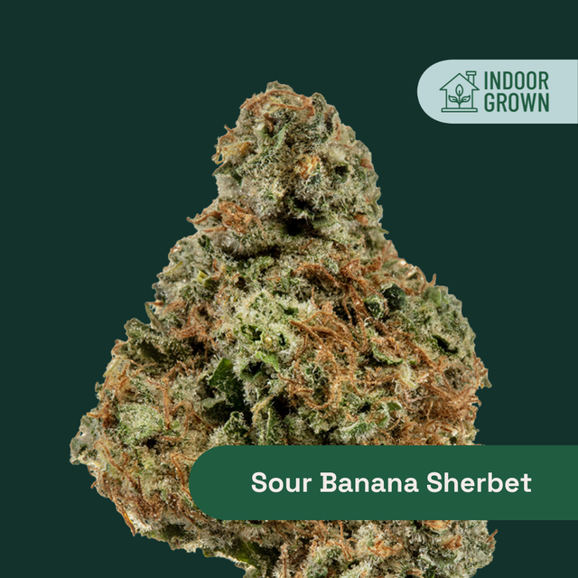 Sour Banana Sherbet Botanist
