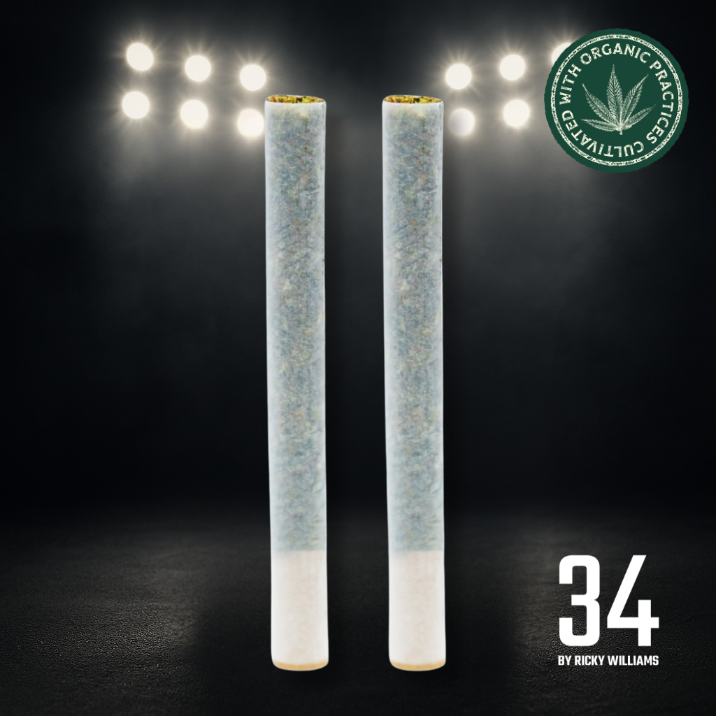 Jai Alai