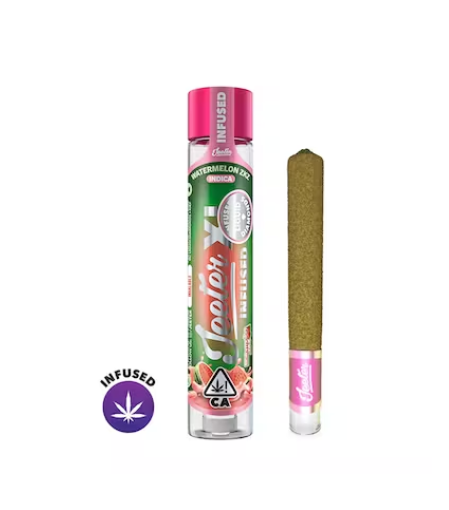 Watermelon Zkz Xl