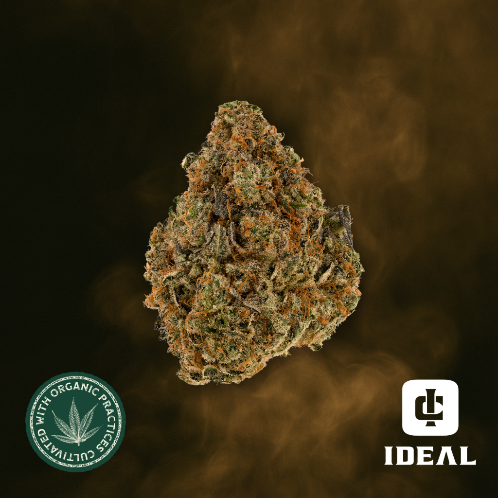 Buy Maui Gemz 1/8oz Premium Whole Flower online - Goldflower Miami
