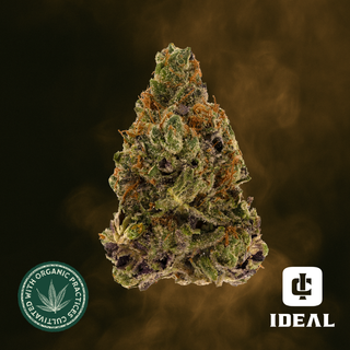 Modified Obama Ideal Cannabis