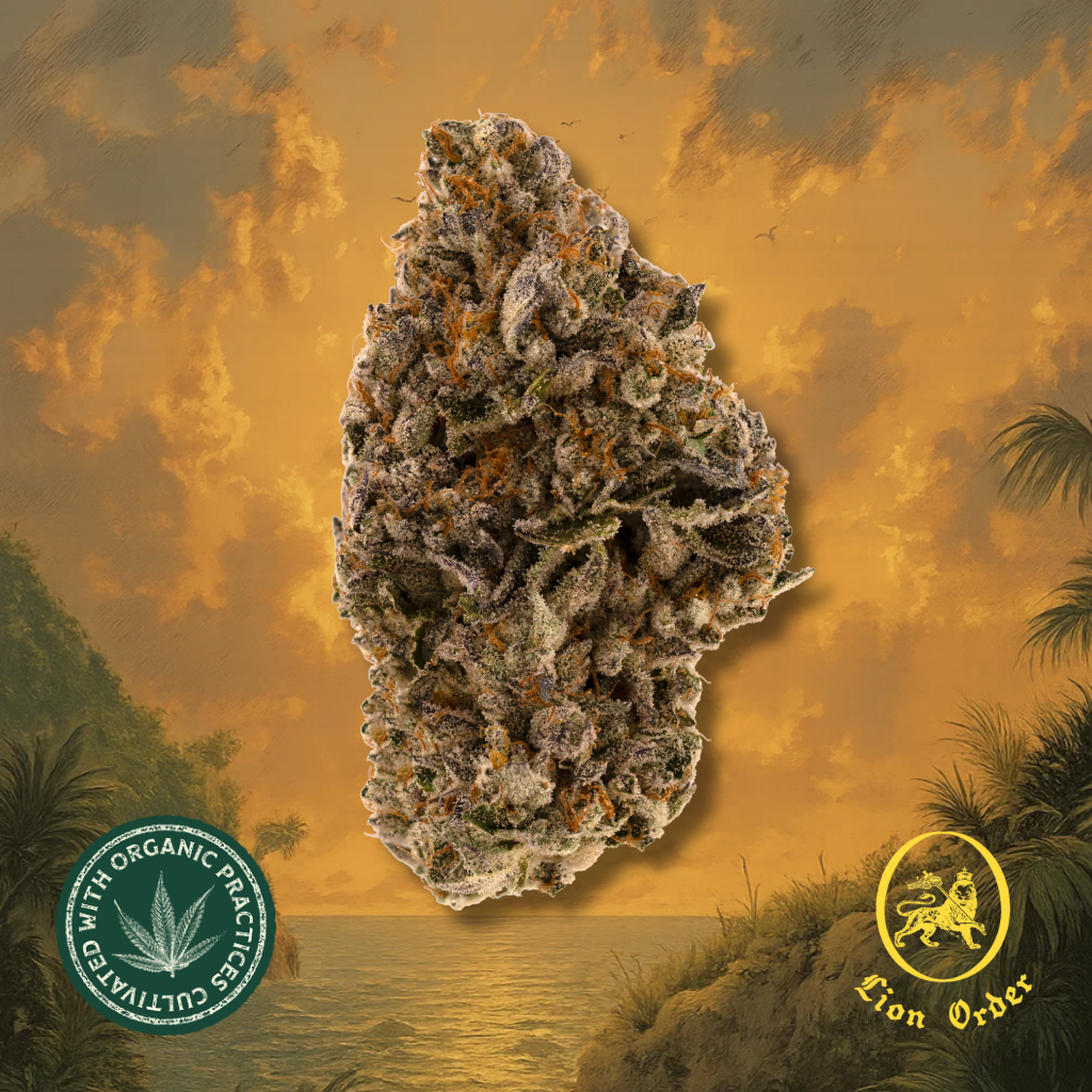 光田康典 hopeful weeds 公式FC限定CD vol.002～004 Buy OG Hurricane 1/8oz Premium Whole Flower online - Goldflower