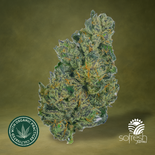 Black Betty sofresh farms