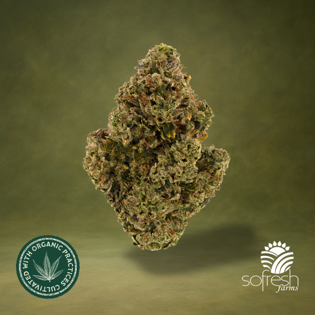 Veterans Kush