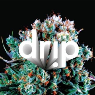 Garlic Cookies 1g 5/10 Vape Drip