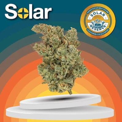 Gelato 41 Solar Cannabis Co.