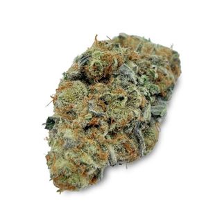 Grizzly Goo Cannalive Genetics