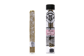Rosa Especial Platinum Diamond El Blunto