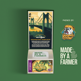 Citrus Paradise Hash Rosin Made By A Farmer